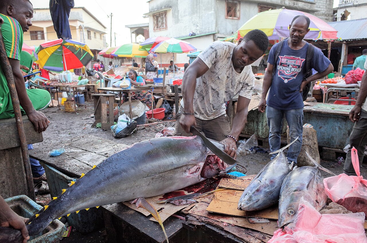 Vendre en ligne aux Comores - le guide pour se lancer en 2026